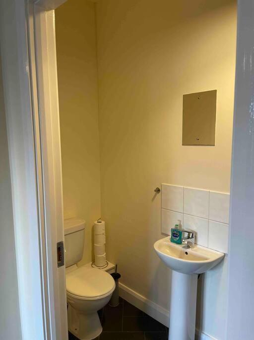Close To Belfast City Centre.Modern Opened Planned Extérieur photo
