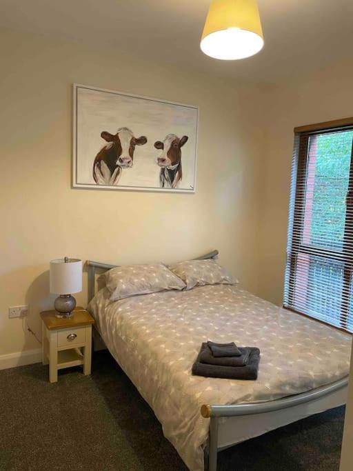 Close To Belfast City Centre.Modern Opened Planned Extérieur photo