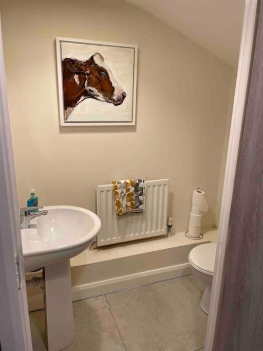 Close To Belfast City Centre.Modern Opened Planned Extérieur photo