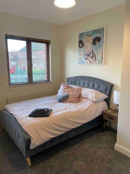 Close To Belfast City Centre.Modern Opened Planned Extérieur photo