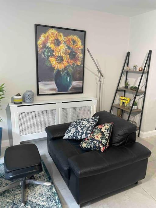 Close To Belfast City Centre.Modern Opened Planned Extérieur photo